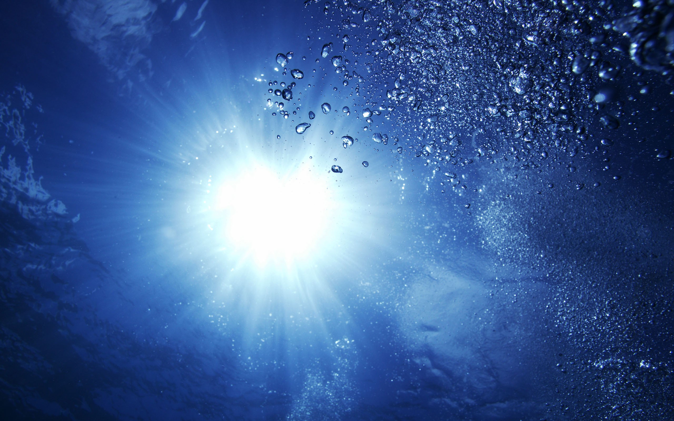 2026年世界雪车钢架雪车锦标赛测试赛稳定运行,2020钢架雪车哪个奥运会